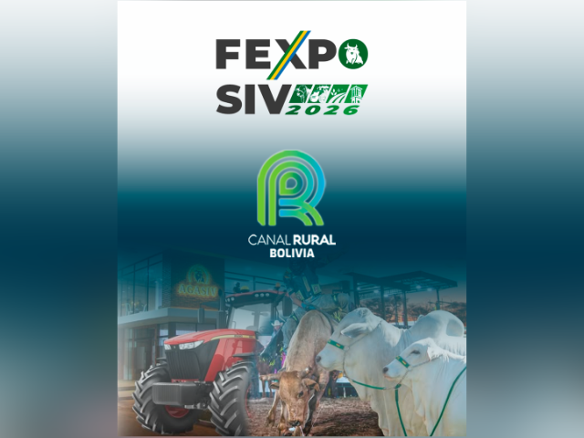 Juzgamiento De Razas Cebuinas Fexposiv 2026