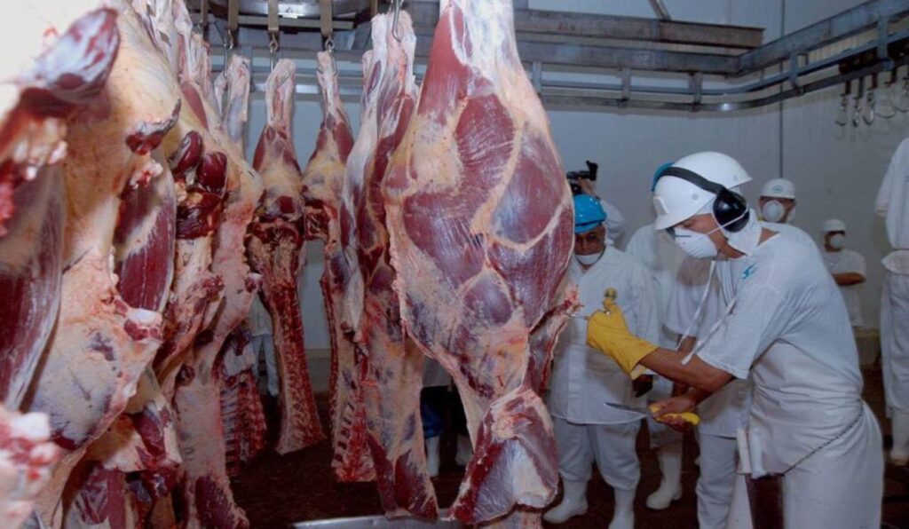 Imagem de destaque do post: Fim da cota chinesa preocupa pecuaristas e leva frigoríficos a reduzir abates no Brasil