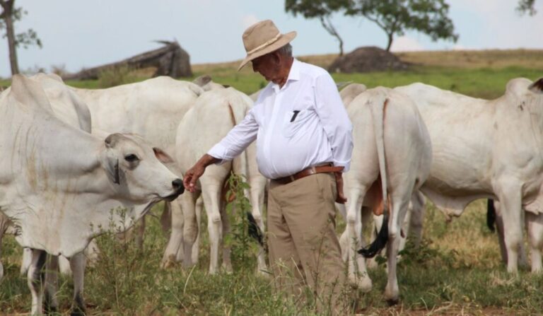 Morre Fausto Pereira Lima, um dos maiores nomes da pecuária brasileira