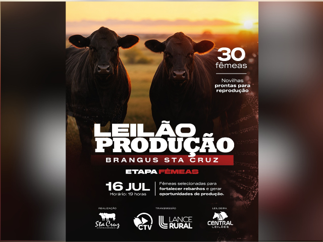 Leilão Brangus Santa Cruz – Etapa Matrizes