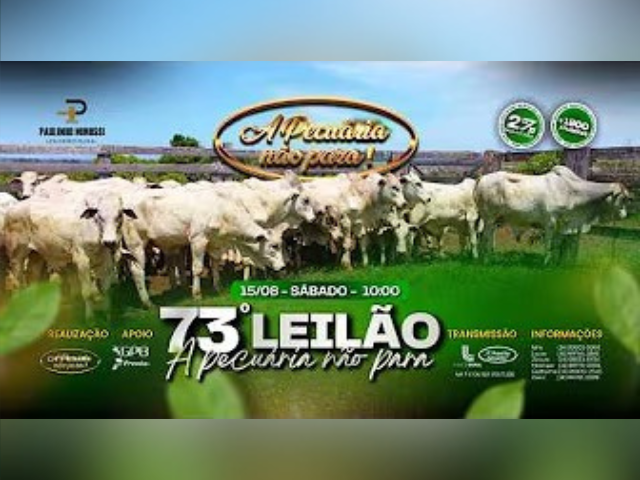 73º Leilão a Pecuaria Não Para