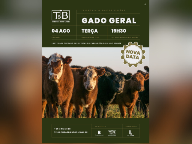 Remate Gado Geral TB