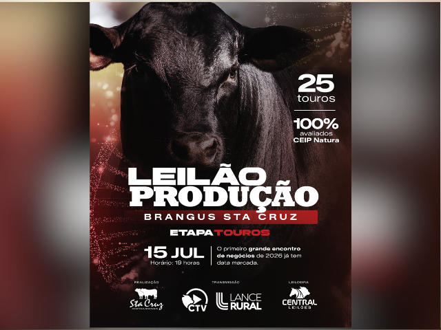 Leilão Brangus Santa Cruz – Etapa Touros