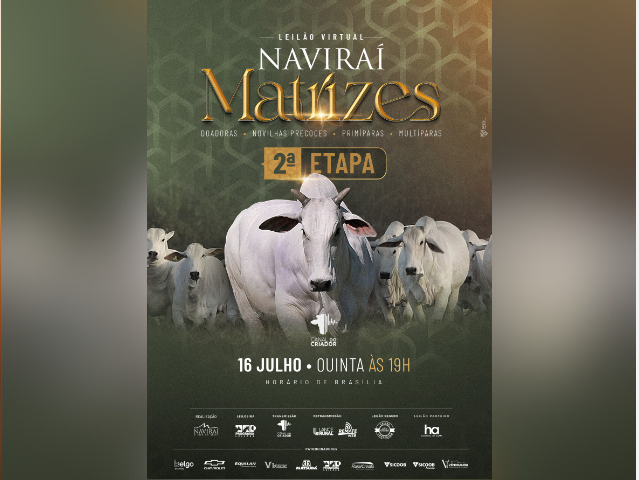 Leilão Virtual Naviraí Matrizes  – 2ª Etapa