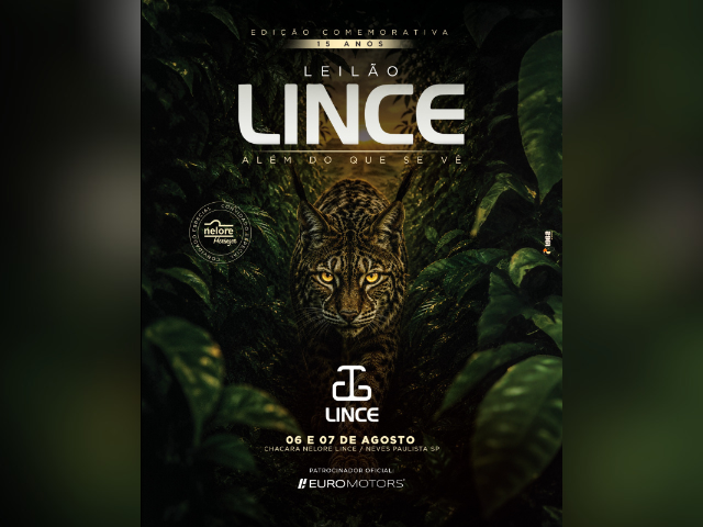 Leilão Lince – Edição Comemorativa 15 Anos