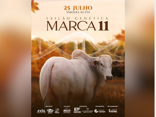 Leilão Genética Marca 11