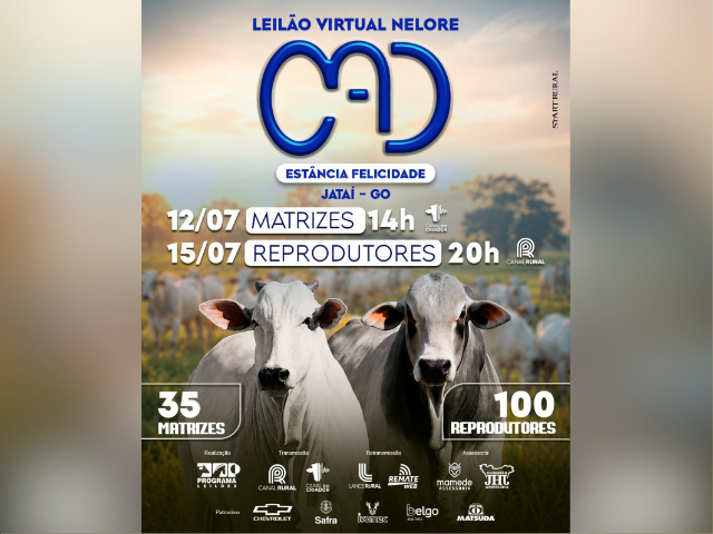 1° Leilão Virtual Nelore CAD