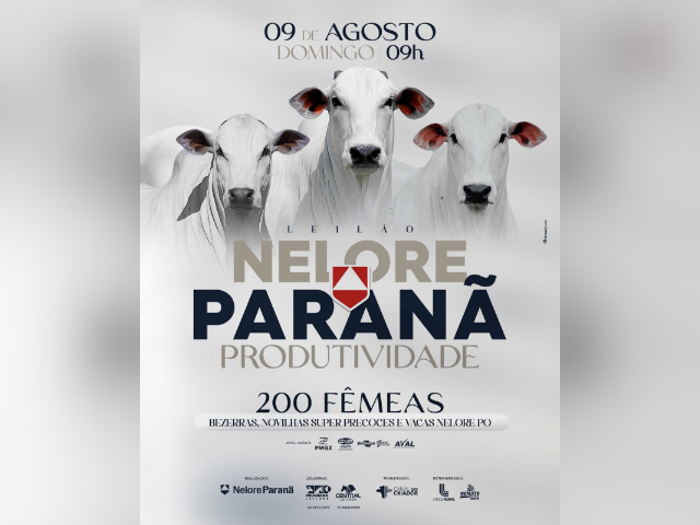 Leilão Nelore Paranã Produtividade – Etapa Fêmeas
