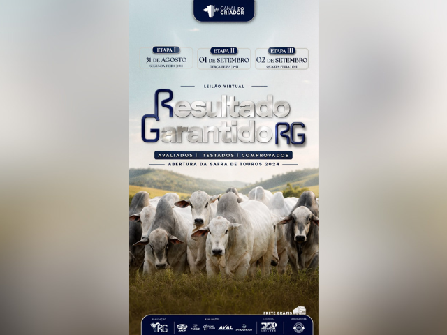 Leilão Virtual Resultado Garantido RG – 2ª Etapa