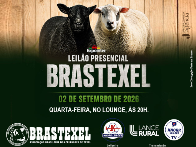 Leilão Brastexel Edição Expointer