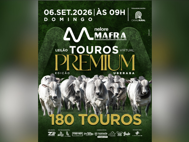 Leilão Virtual Touros Premium