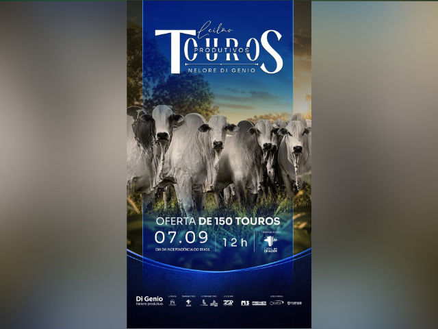 Leilão Touros Produtivos Nelore Di Genio