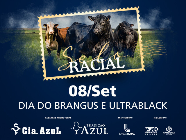 Leilão Selo Racial – Brangus e Ultrablack