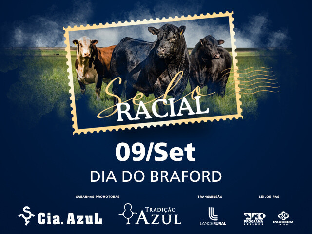 Leilão Selo Racial – Braford
