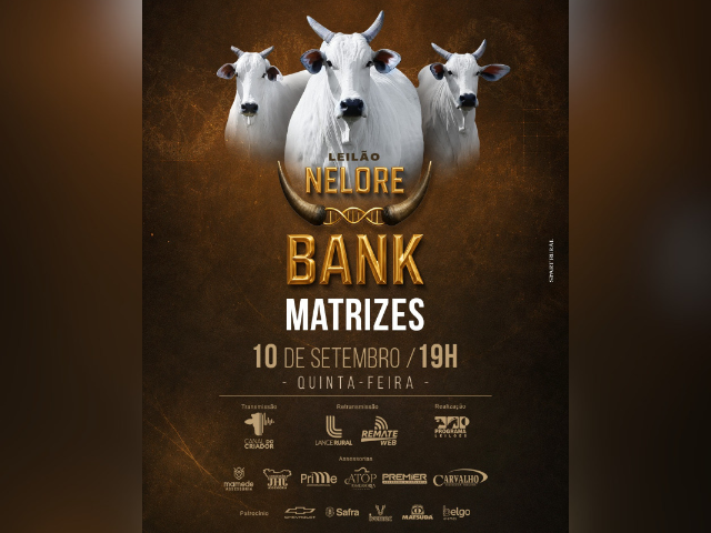 Leilão Nelore Bank Matrizes