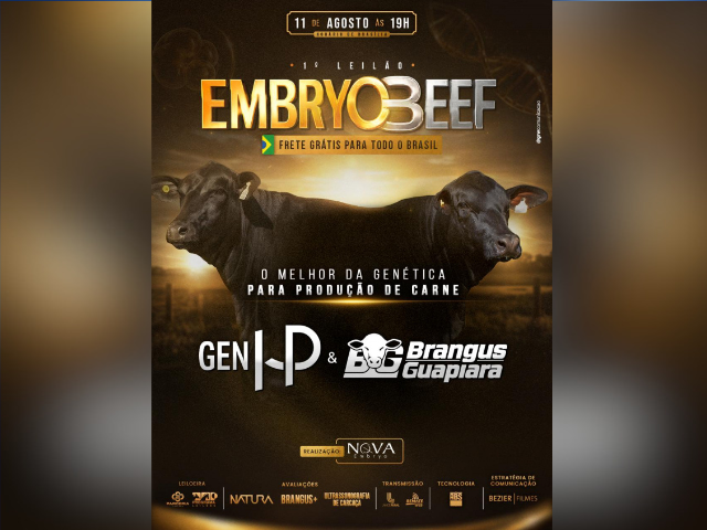 1° Leilão Embryobeef