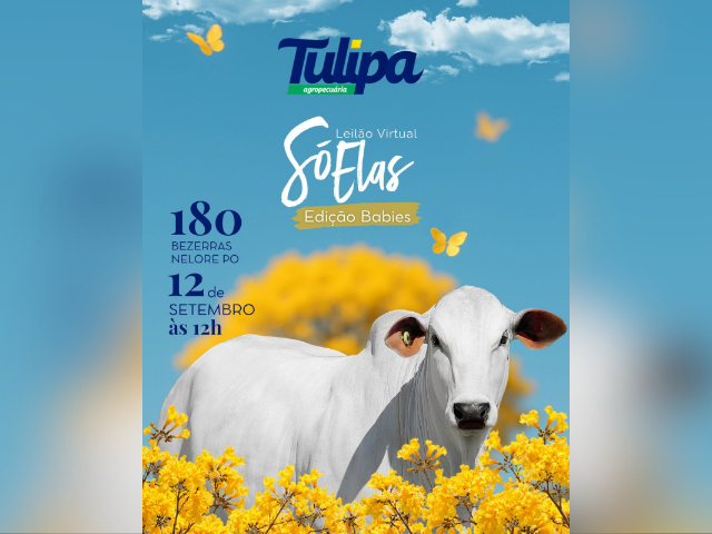 Leilão Virtual Só Elas – Edição Babies