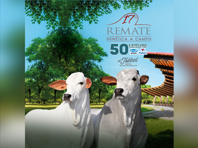 17º Remate Genética a Campo