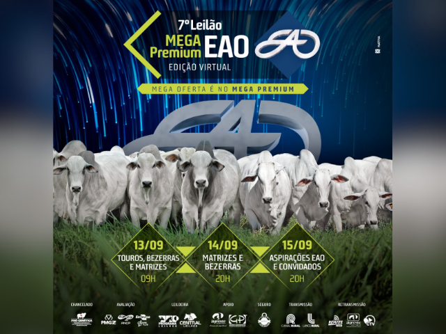 7º Leilão Mega Premium EAO – Touros, Bezerras e Matrizes