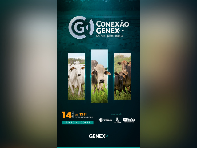 Leilão Conexão GENEX – Especial Corte