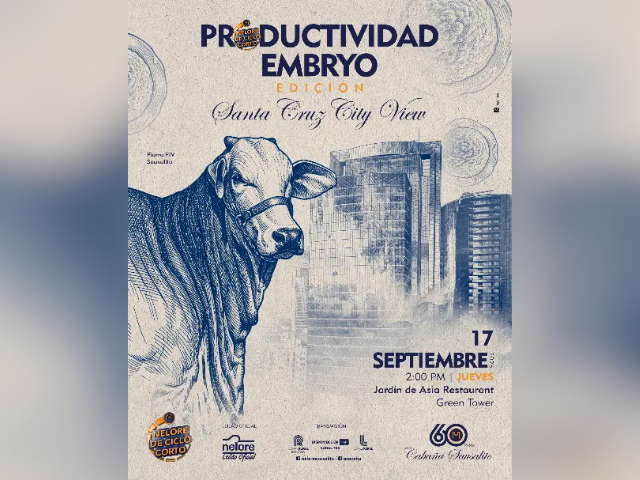 Remate Productividad Embryo Edición Santa Cruz City View