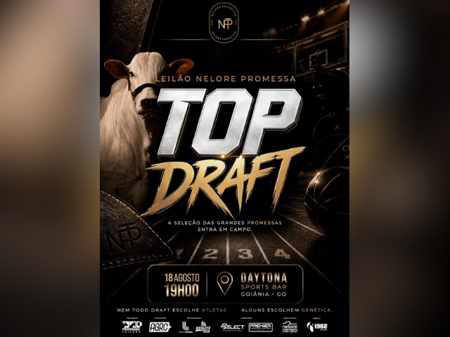 Leilão Nelore Promessa Top Draft