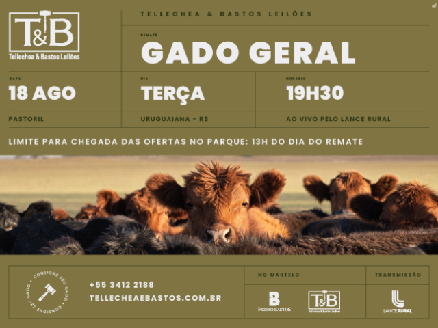 Remate Gado Geral TB