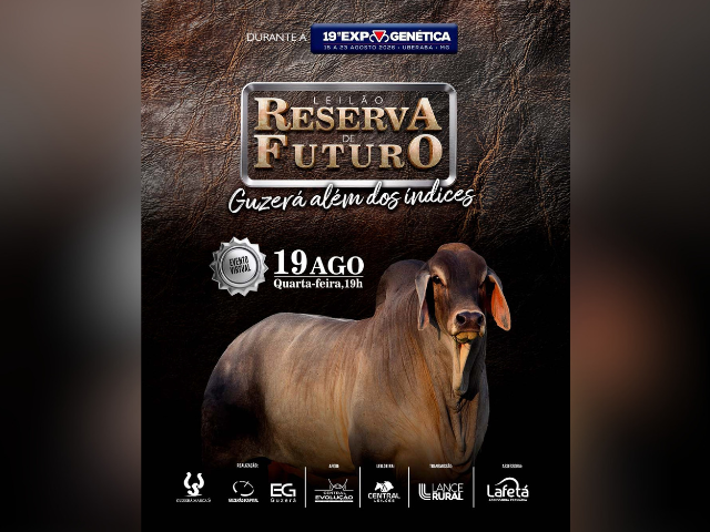 Live Leilão Reserva de Futuro