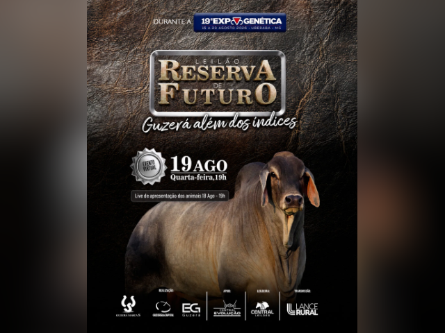 Leilão Reserva De Futuro