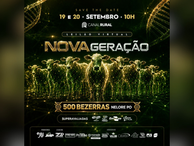 Leilão Nova Geração