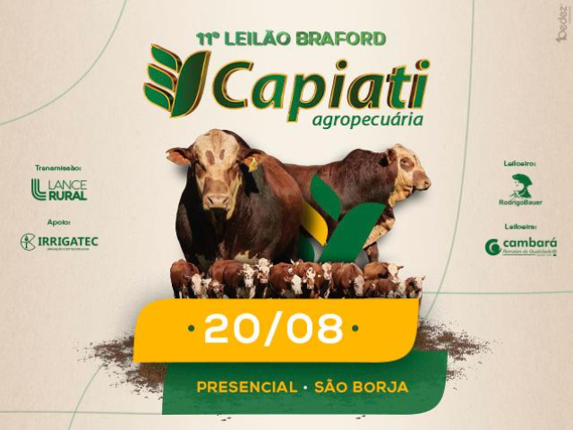 11º Leilão Braford Capiati Agropecuária