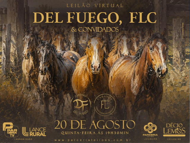 Leilão Virtual Del Fuego, FLC & Convidados