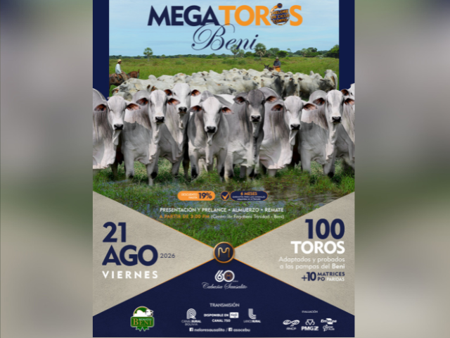 Remate Megatoros Beni