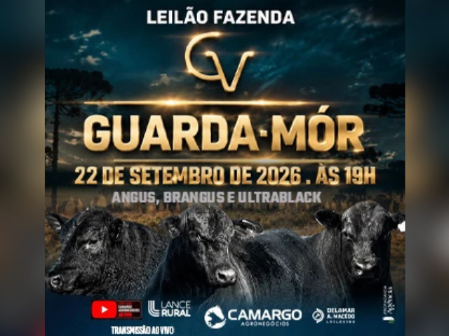 Leilão Fazenda Guarda – Mór