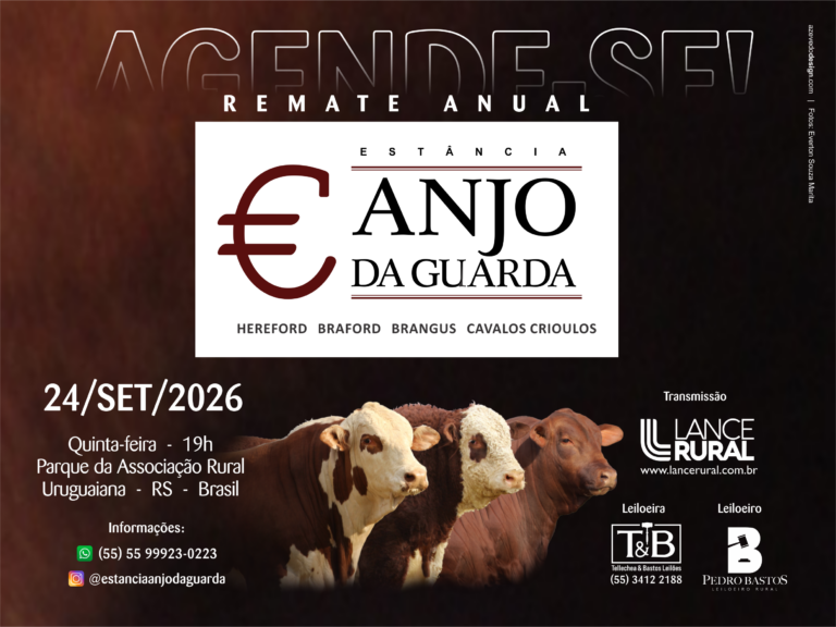 Remate Anual Estância Anjo Da Guarda
