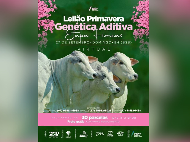 Leilão Primavera – Genética Aditiva – Etapa Fêmeas