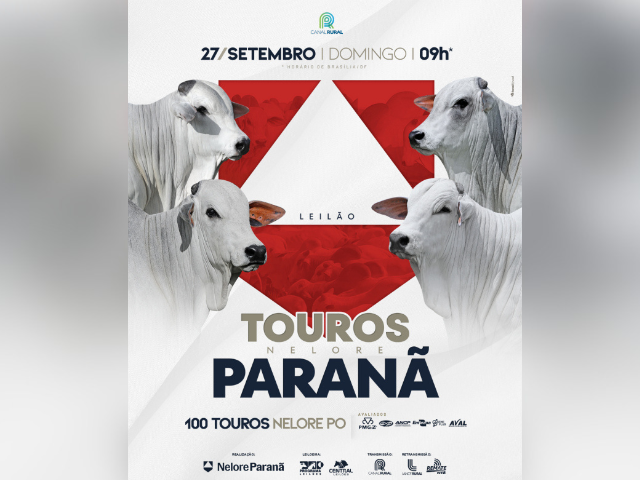 Leilão Touros Nelore Paranã