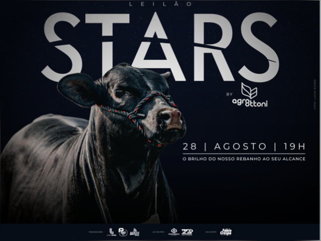 Leilão Stars – BY Agro Ottoni