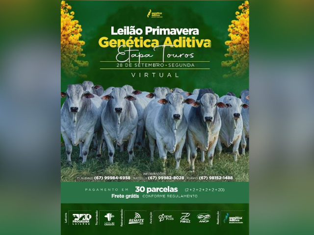 Leilão Primavera – Genética Aditiva – Etapa Touros