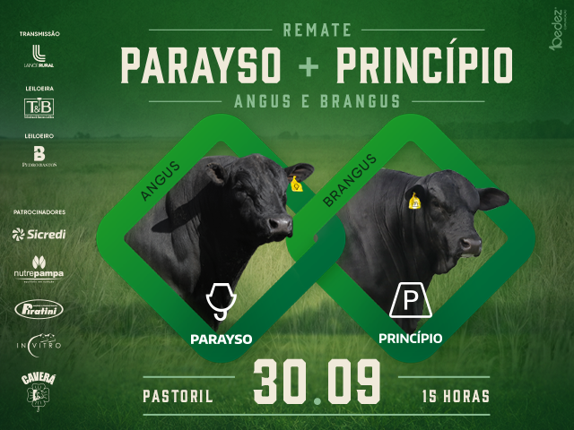 Remate Parayso + Princípio