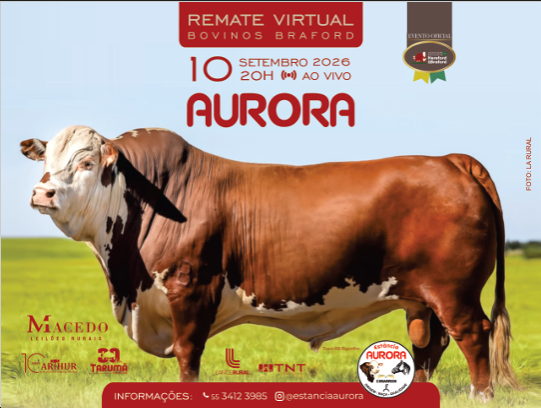 Remate Virtual Braford Aurora