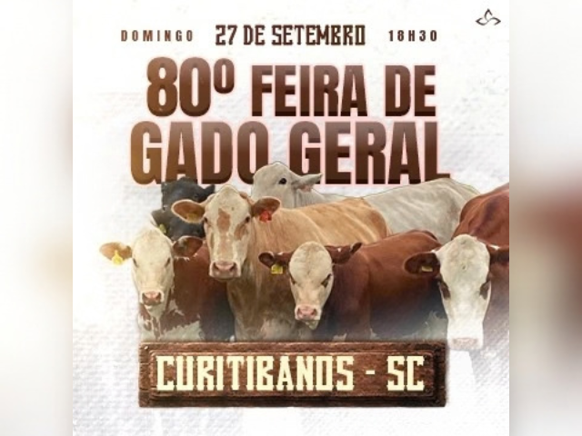 Feira Gado Geral Curitibanos