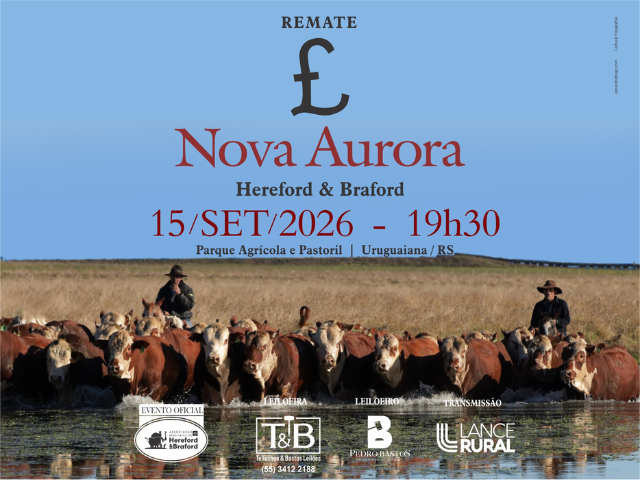 Remate Nova Aurora
