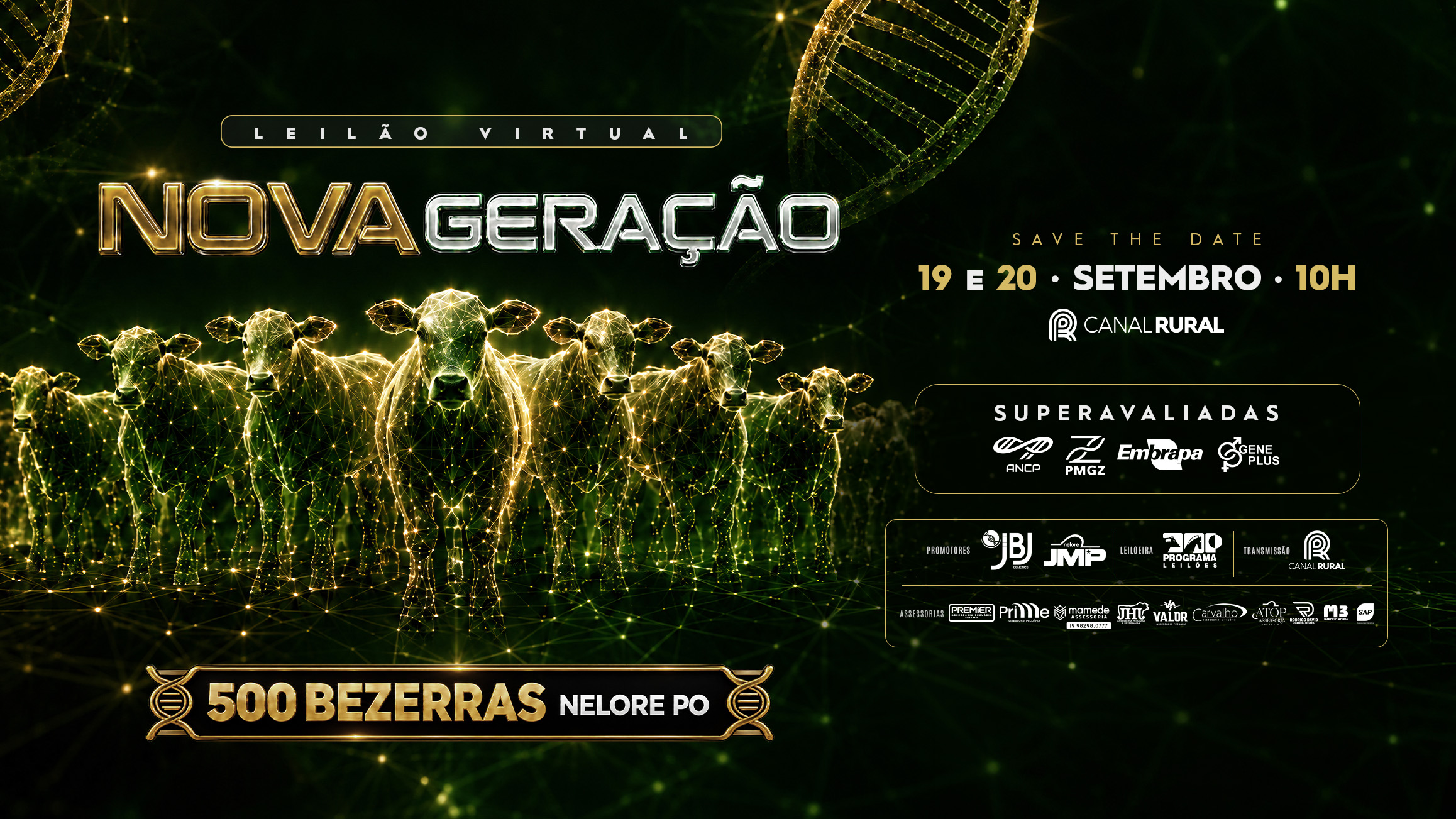 Leilão Nova Geração