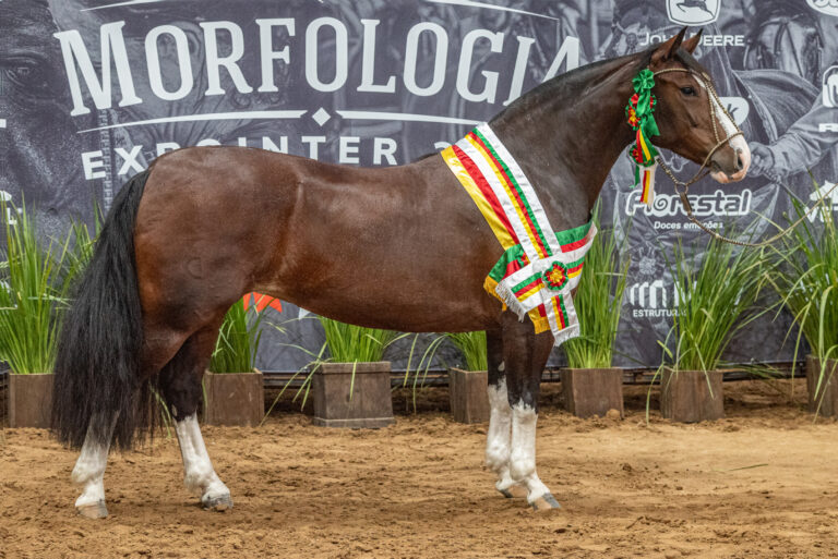 Belle Reserva conquista bicampeonato e é eleita Melhor Exemplar da Raça na Expointer 2026