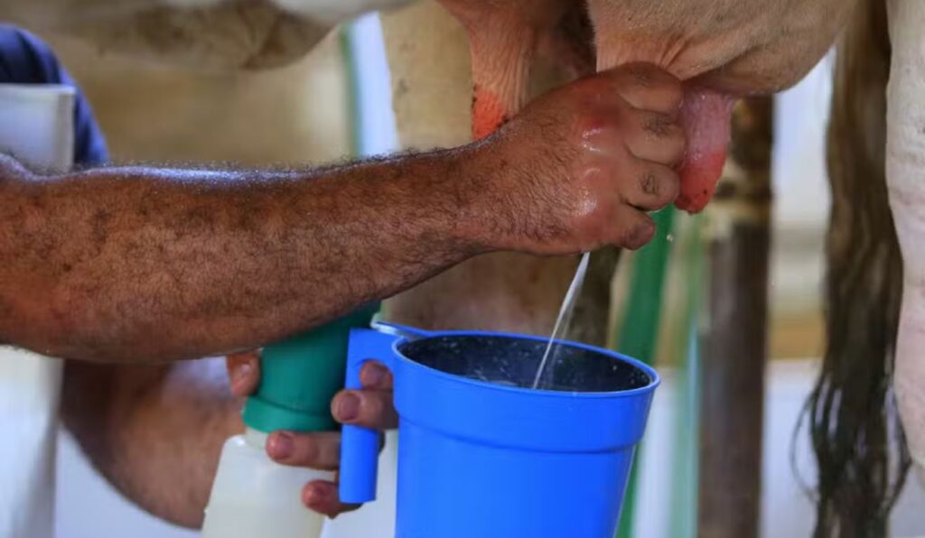 Imagem de destaque do post: Preço médio do leite sobe em junho e acumula alta de 33% no primeiro semestre