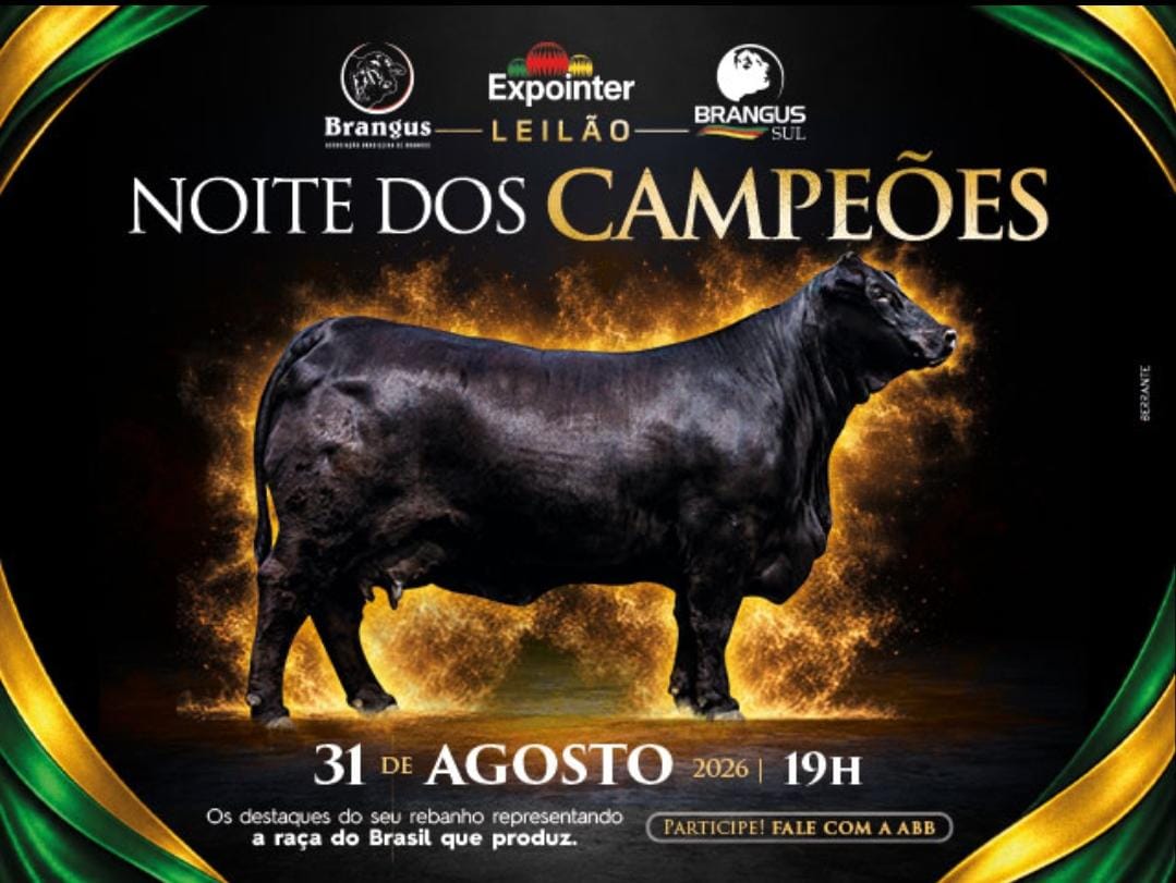 Leilão Noite Dos Campeões Brangus