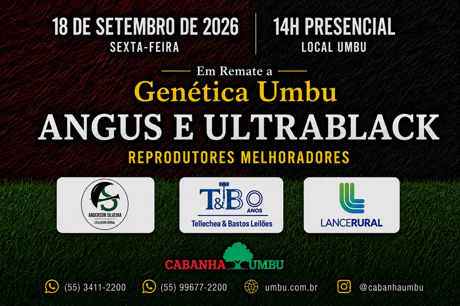 Leilão Umbu – Reprodutores Melhoradores
