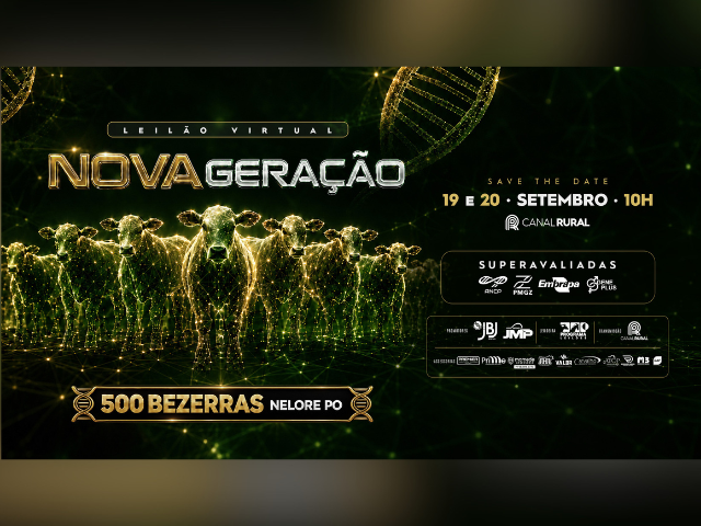 Leilão Nova Geração – 500 Bezerras JBJ