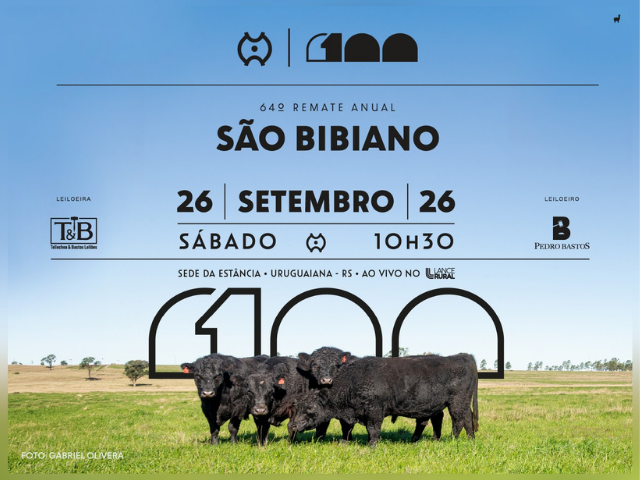 64º Remate São Bibiano – 2º Etapa